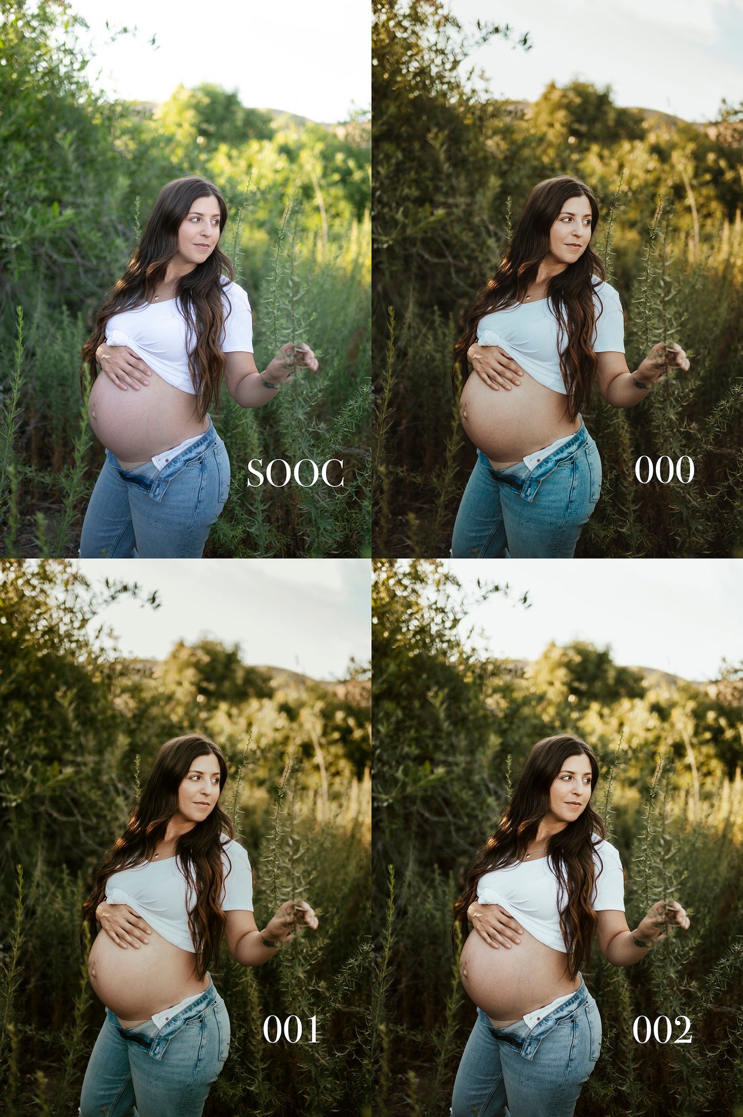 Aspen Dawn Presets Pack 02