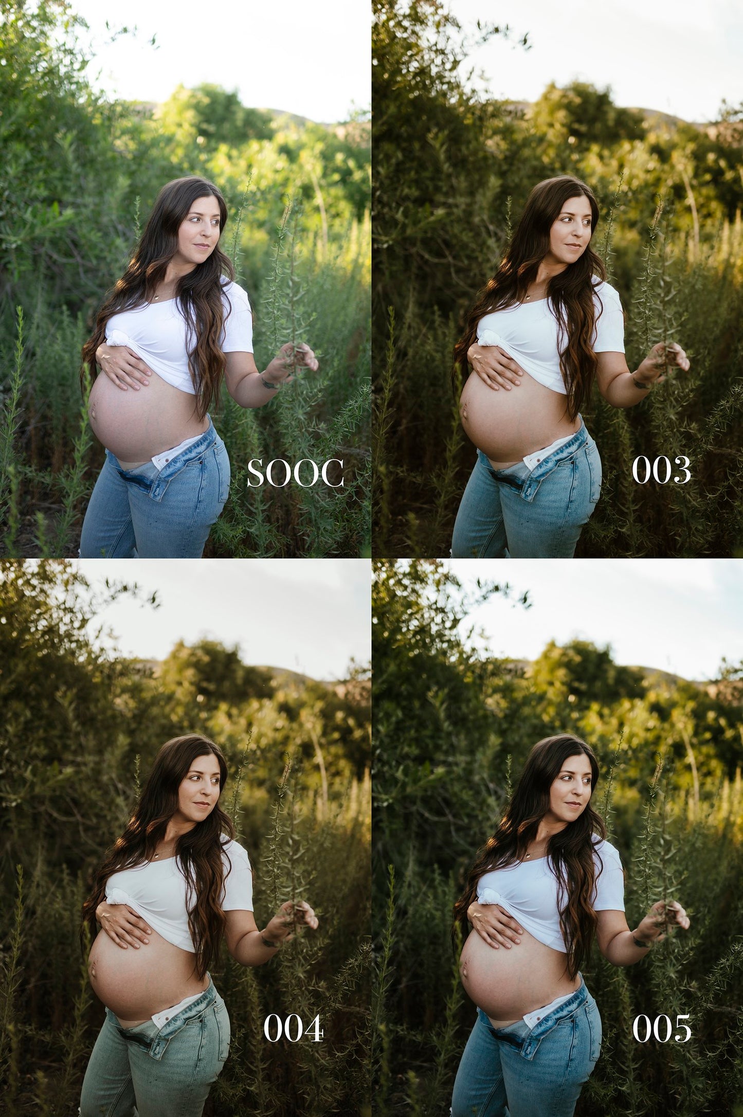 Aspen Dawn Presets Pack 02